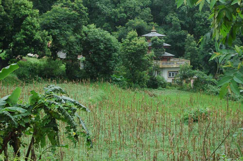 115 - Nepal - Bandipur, templo en el campo